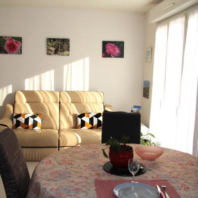 Salon nouveau coussins canape 1